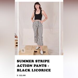 IN SEARCH OF BIG BUD PRESS ACTION PANTS BLACK LICORICE SUMMER STRIPE PANTS